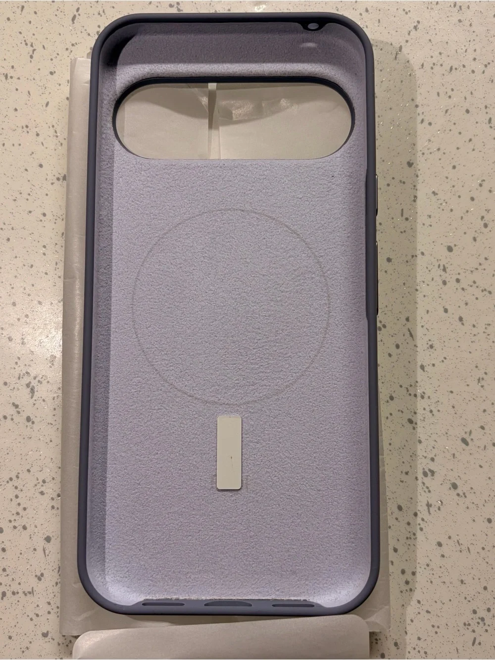 Google Pixel 10 Pro Xl Google case